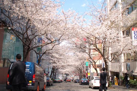 Romantic Flat In The Heart Of Shibuya / 7min Walk Tokio
